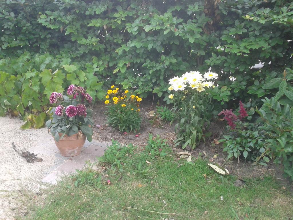 Belvedere B&B Svendborg Dış mekan fotoğraf